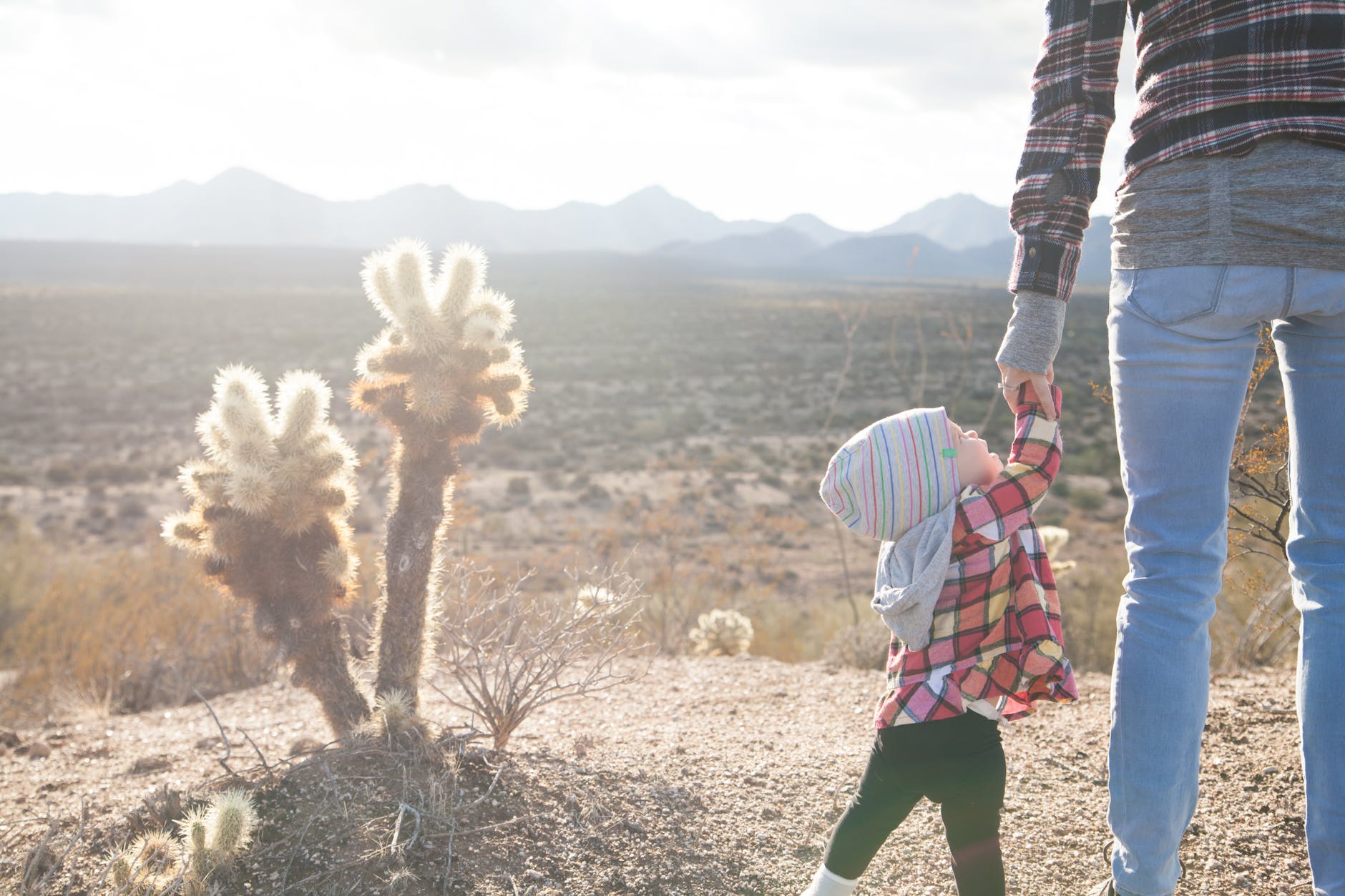 person holding toddler hand